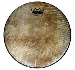 Remo 10''Doumbek Head Samba World Percussion