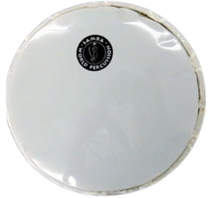 Darbuka Head 22cm Samba World Percussion