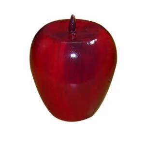 Fruit Shaker Apple